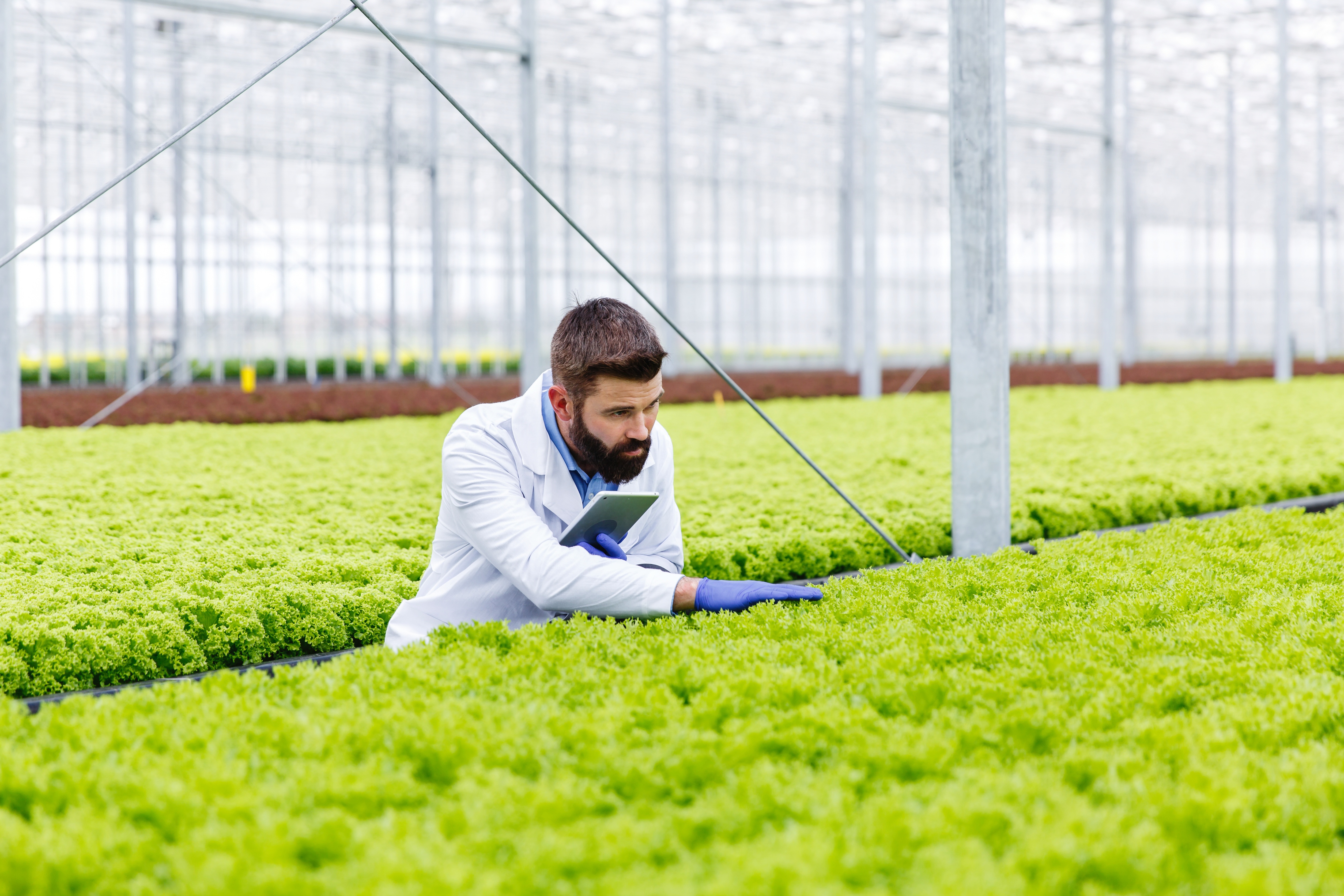 Agriculture Center of Excellence